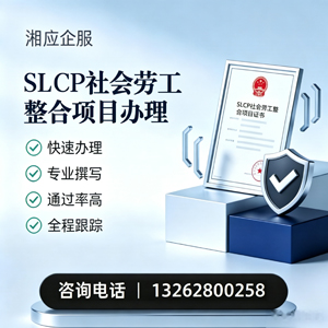 山东SLCP社会劳工整合项目申报服务