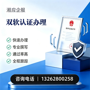山东双软认证申报服务