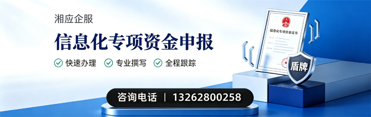 山东信息化专项资金申报服务