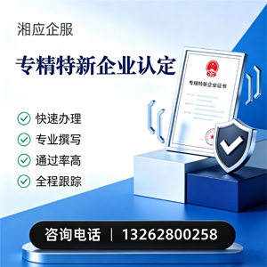 山东专精特新企业申报服务
