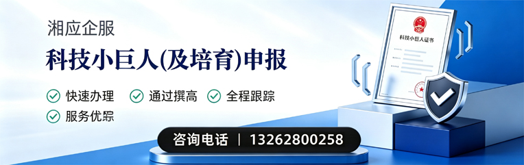 山东科技小巨人及培育企业申报服务