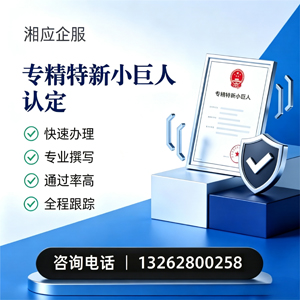 山东专精特新小巨人申报服务