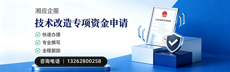 山东技术改造专项资金申报服务