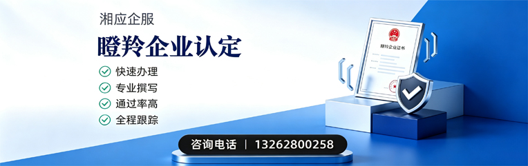 山东瞪羚企业认定申报服务