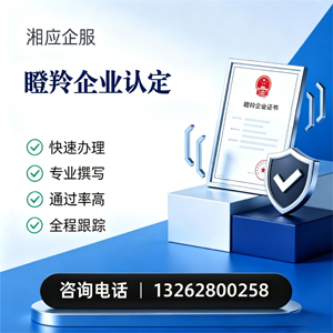 山东瞪羚企业认定申报服务