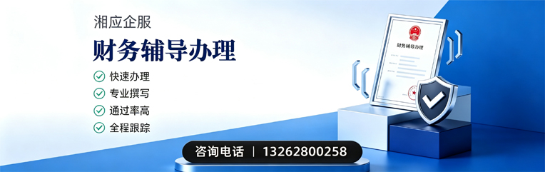 山东财务辅导申请服务