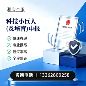 山东科技小巨人及培育企业申报服务