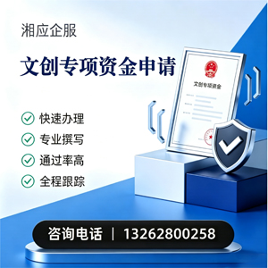 山东文创专项资金申报服务