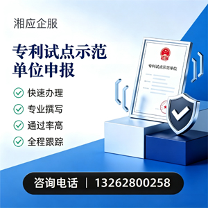 山东专利试点示范单位申报服务