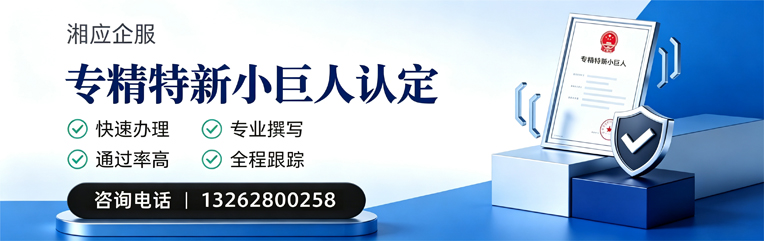 山东专精特新小巨人申报服务